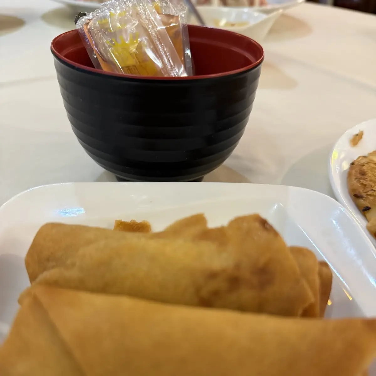 Vegetable Egg Roll / 蔬菜春卷